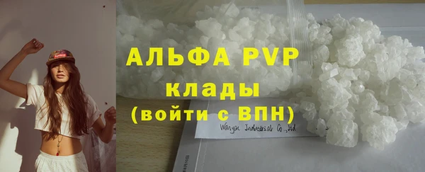 стаф Абаза