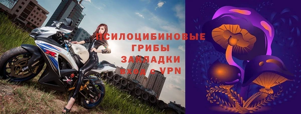 стаф Абаза