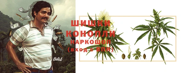 стаф Абаза